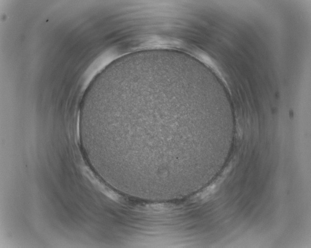 X0000066971227200603271200