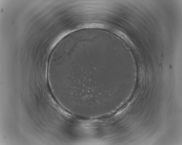 X0000066971228200603271200