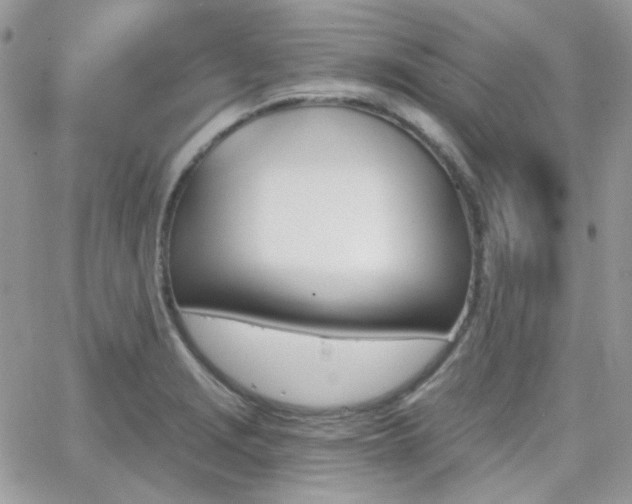 X0000066971229200603271200