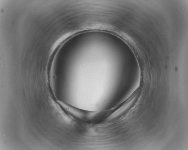 X0000066971230200603271200