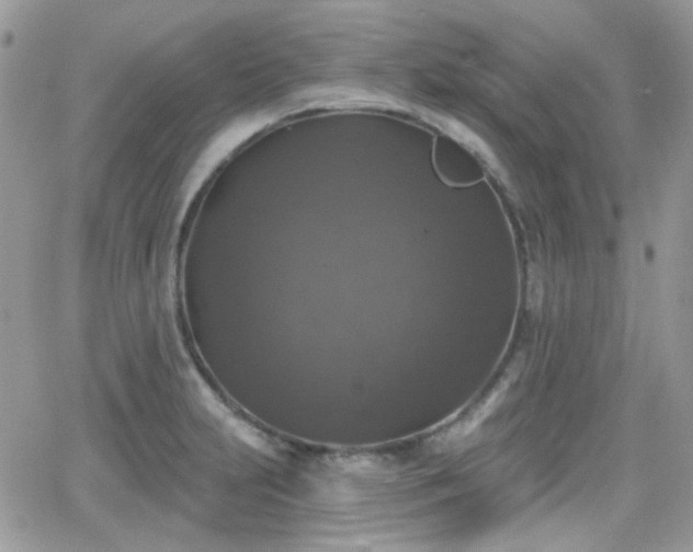 X0000066971231200603271200