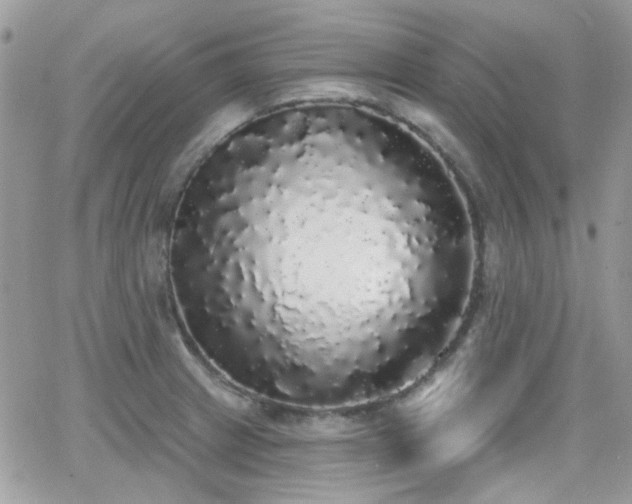 X0000066971233200603271200