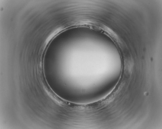 X0000066971234200603271200