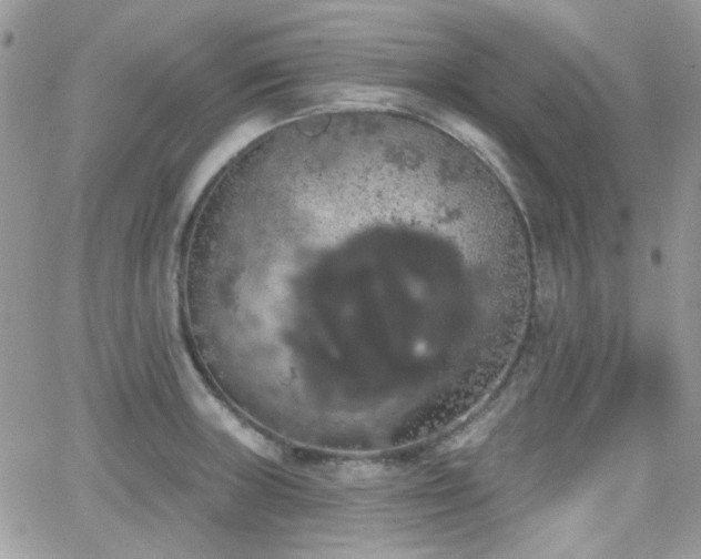 X0000066971235200603271200