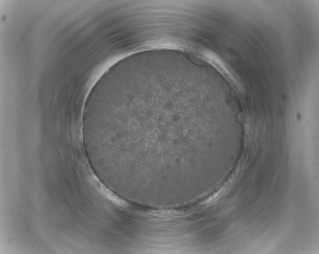 X0000066971236200603271200