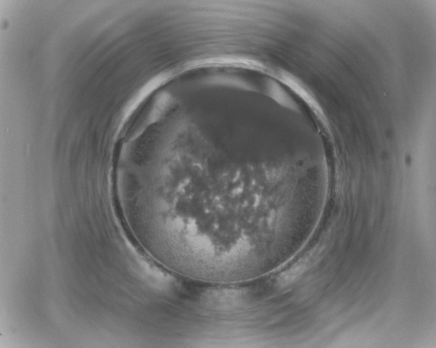 X0000066971237200603271200