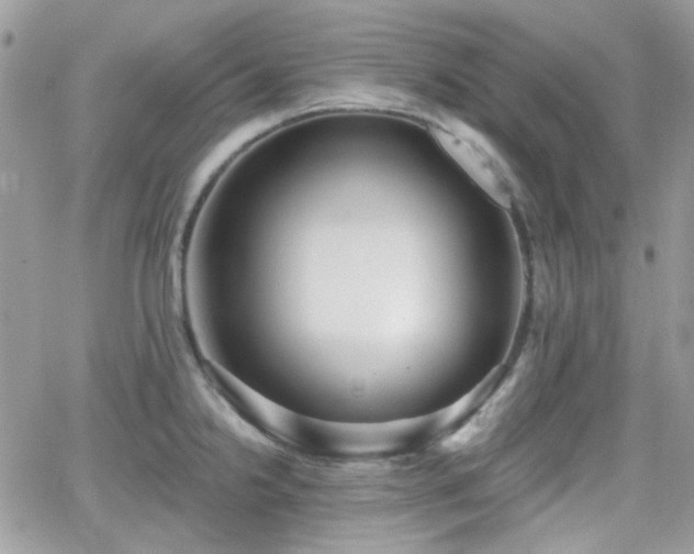 X0000066971238200603271200