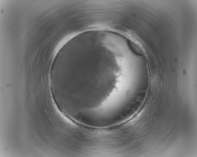 X0000066971239200603271200