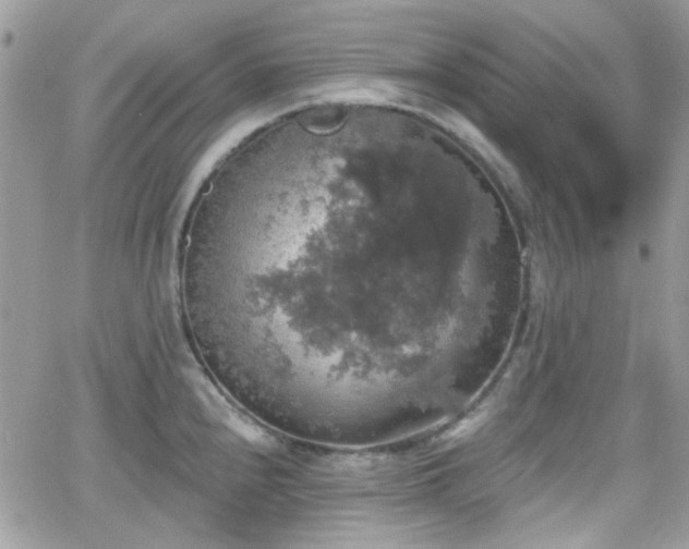 X0000066971240200603271200