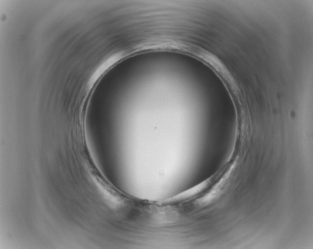 X0000066971242200603271200