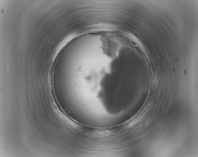 X0000066971243200603271200