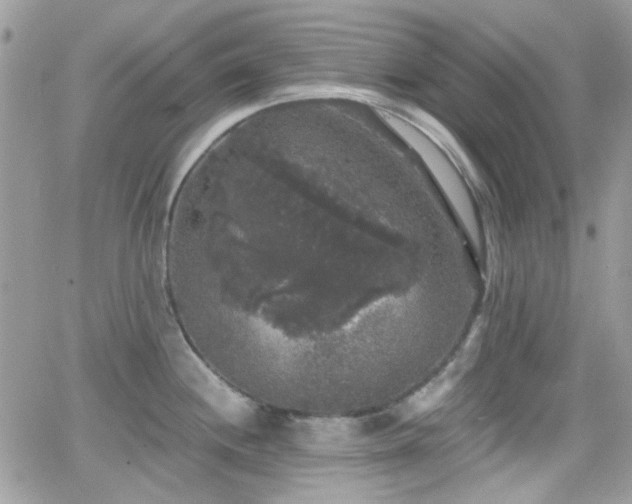 X0000066971244200603271200