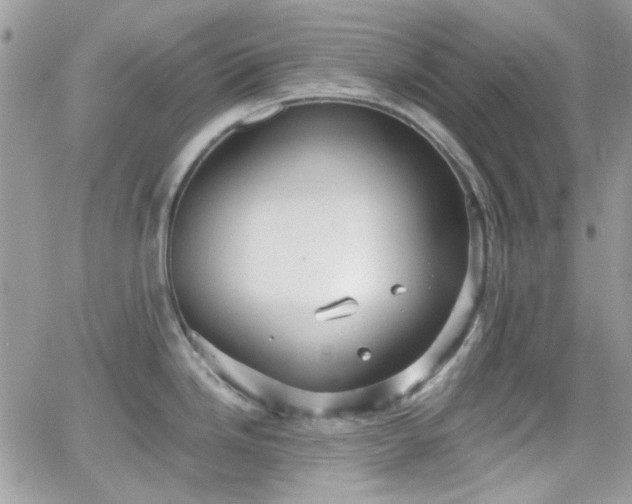 X0000066971246200603271200