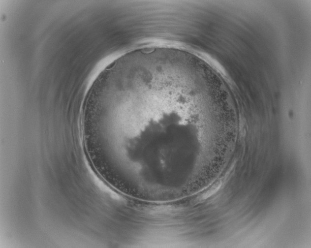 X0000066971247200603271200