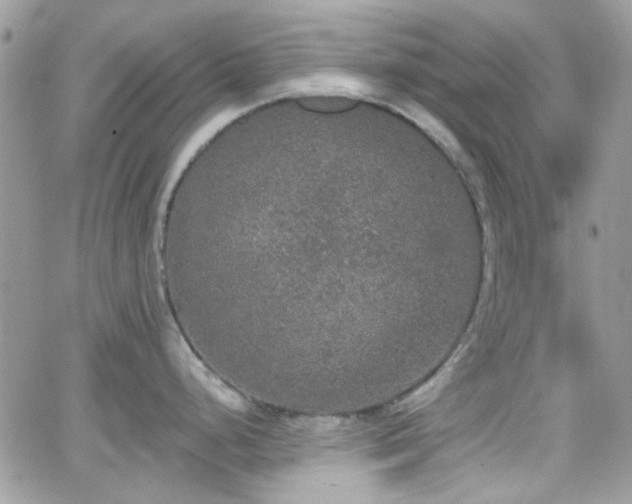 X0000066971248200603271200