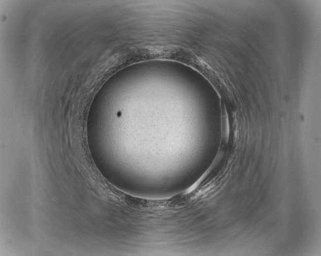 X0000066971249200603271159