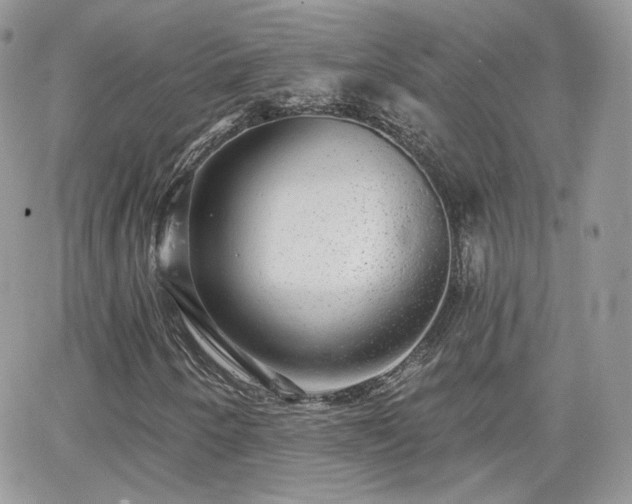 X0000066971250200603271159