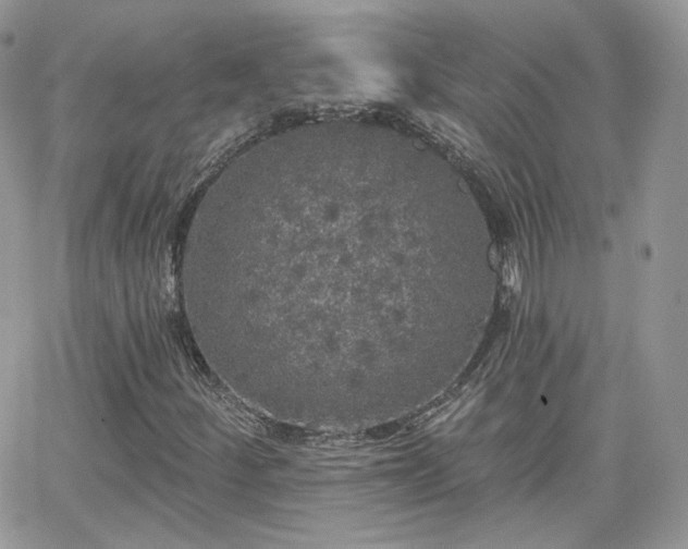 X0000066971252200603271159