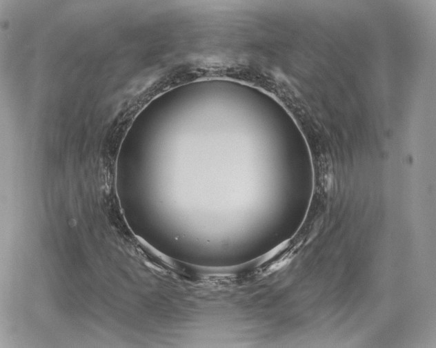 X0000066971253200603271159