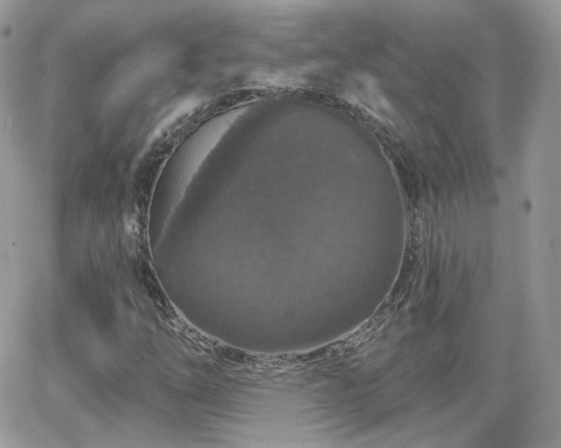 X0000066971254200603271159