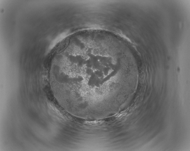 X0000066971255200603271159