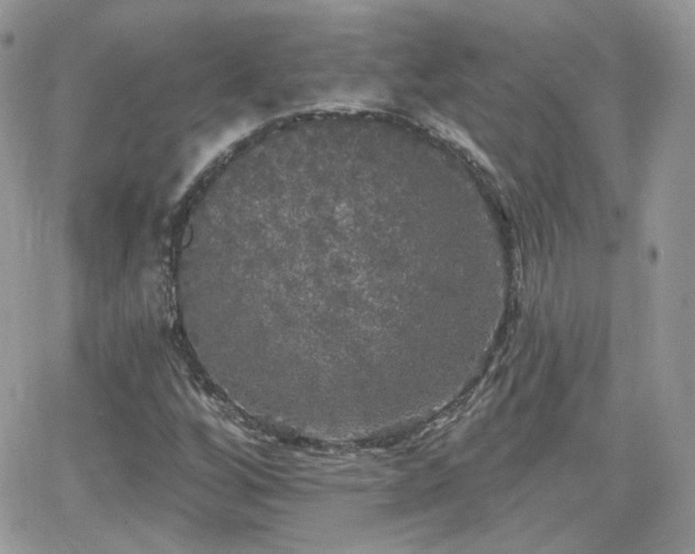 X0000066971256200603271159