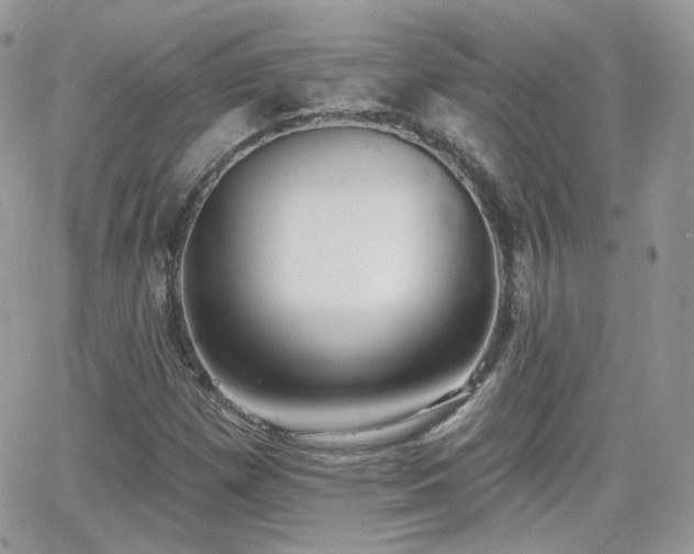 X0000066971257200603271159