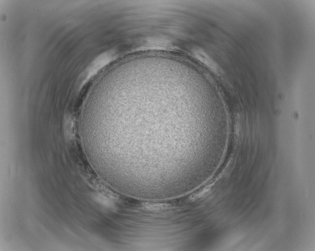 X0000066971258200603271159