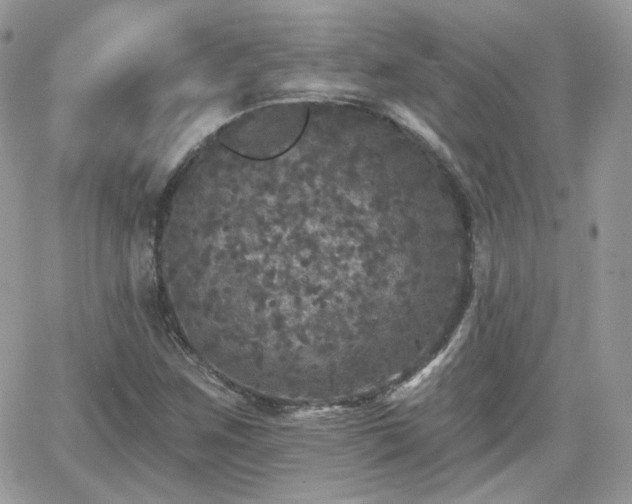 X0000066971259200603271159