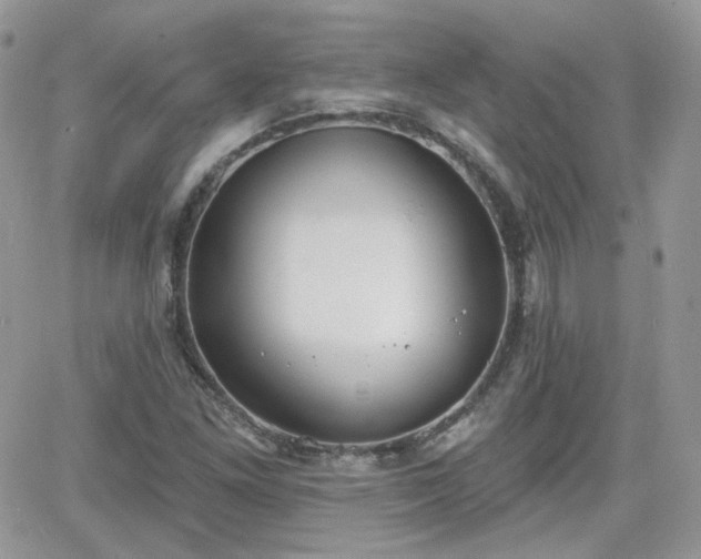 X0000066971261200603271159