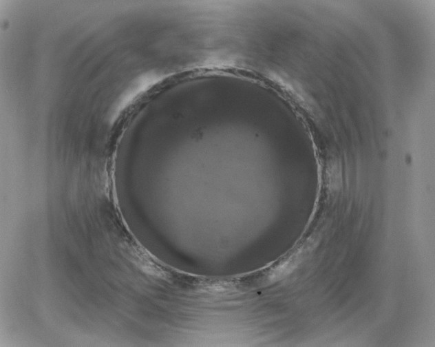 X0000066971262200603271159