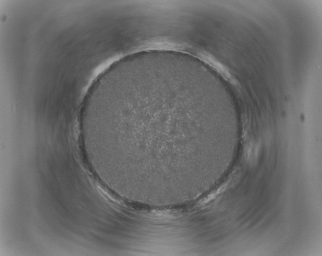 X0000066971264200603271159