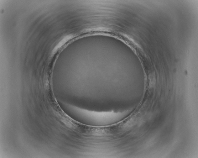 X0000066971266200603271159