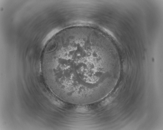 X0000066971267200603271159