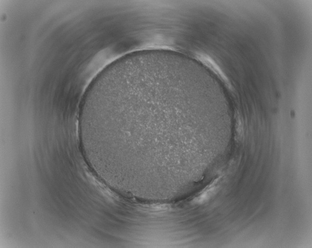 X0000066971268200603271159