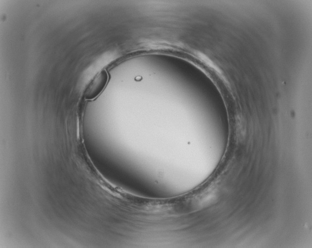 X0000066971269200603271159