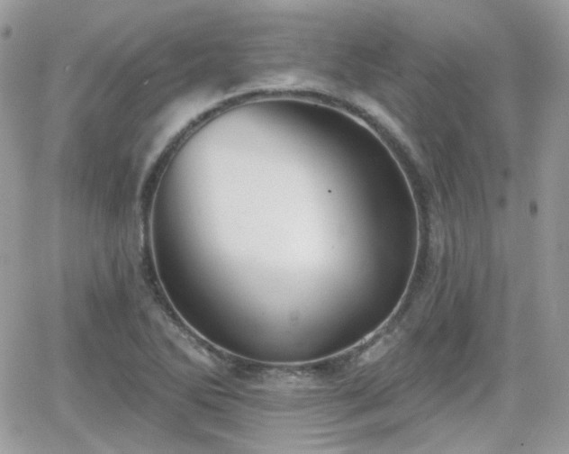 X0000066971270200603271159