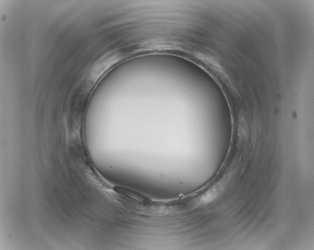 X0000066971273200603271159