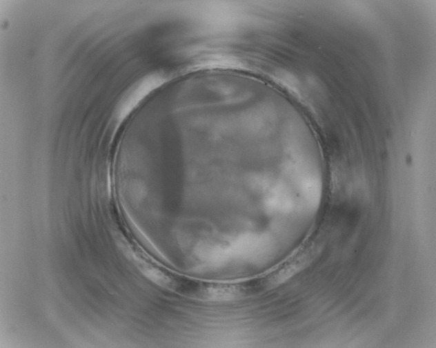 X0000066971274200603271159