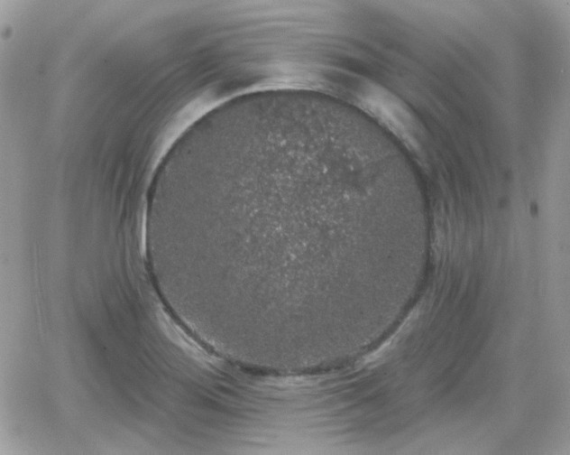 X0000066971276200603271159