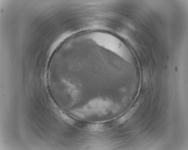 X0000066971278200603271159