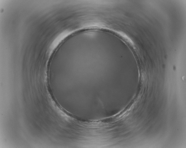 X0000066971279200603271159