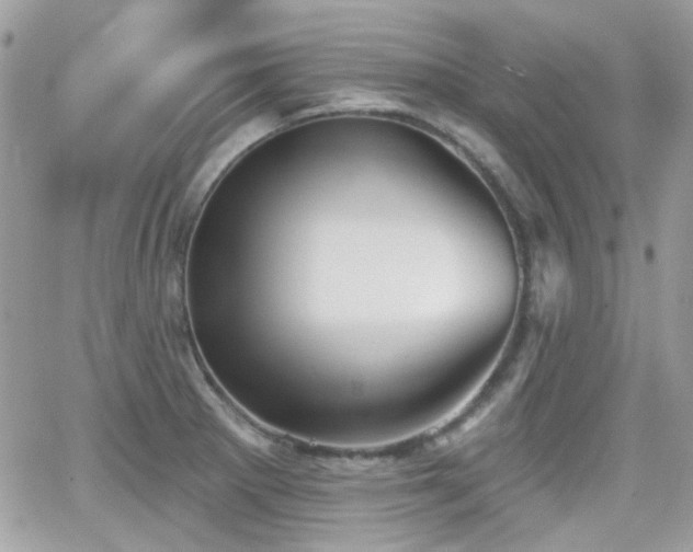 X0000066971281200603271159