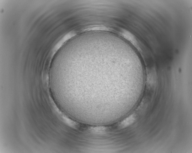 X0000066971282200603271159