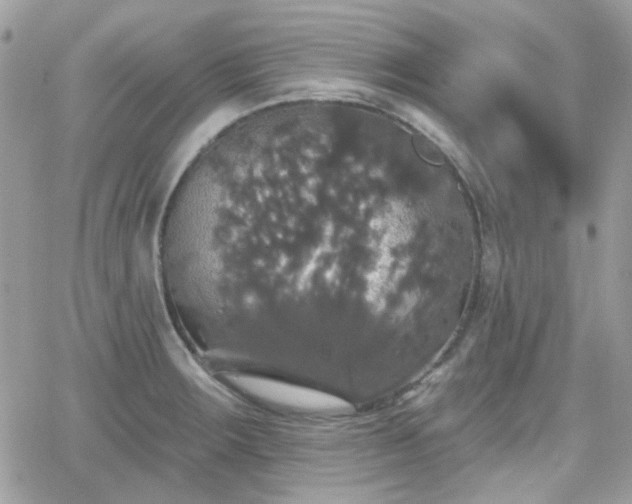 X0000066971283200603271159