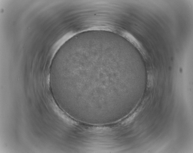 X0000066971284200603271159