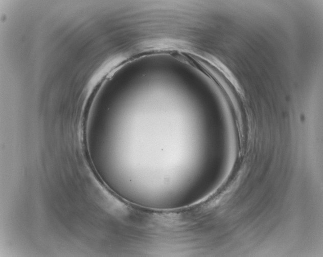 X0000066971285200603271159