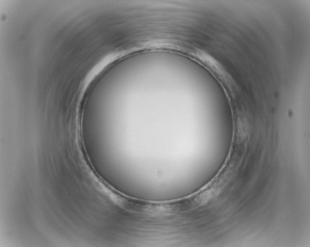 X0000066971286200603271159