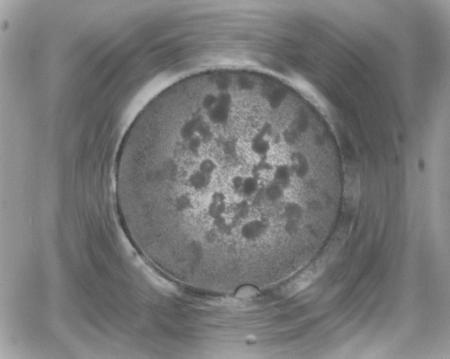 X0000066971287200603271159