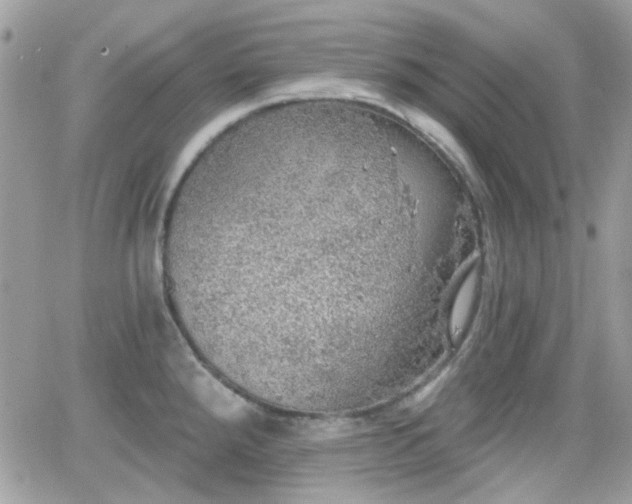 X0000066971288200603271159